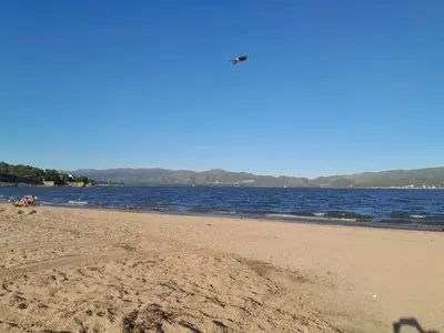 a beach with a bird flying over the water at La Morada de tus Sueños VCP con vista al LAGO in Villa Carlos Paz