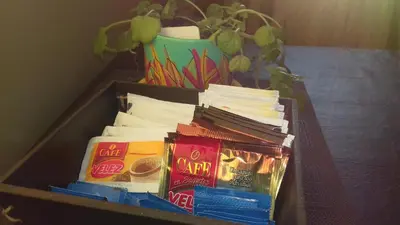 a box of books on a table with a plant at Temporario en Villa Sol in Cordoba