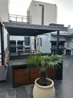 a plant in a pot sitting on the floor of a building at Dpto Carlos Paz in Villa Carlos Paz