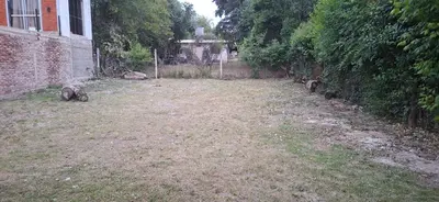 a yard with some animals sitting in the grass at El sueño de papá in Santa María