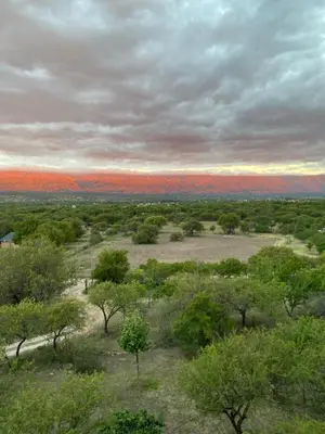 an open field with trees and mountains in the distance at La Cuesta in Villa Cura Brochero