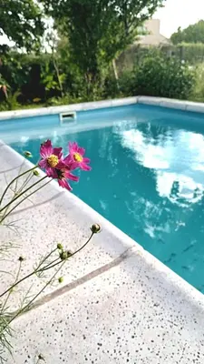 a flower sitting on the edge of a swimming pool at Departamento Valle de Luz in Alta Gracia
