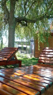 a row of wooden benches sitting under a tree at Departamento Valle de Luz in Alta Gracia