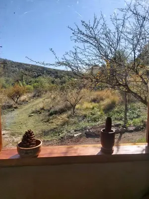 a window sill with two cacti on it with a view at Pie de Sierra in Los Hornillos