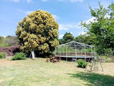 a greenhouse in a field next to a tree at Cabañas Las Pasionarias in Tanti