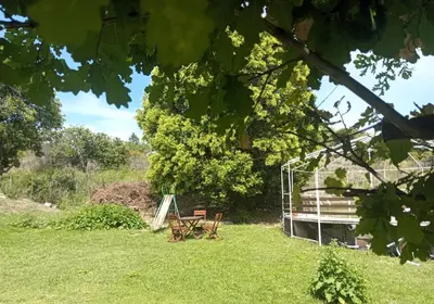 a picnic table and a bench in the grass at Cabañas Las Pasionarias in Tanti
