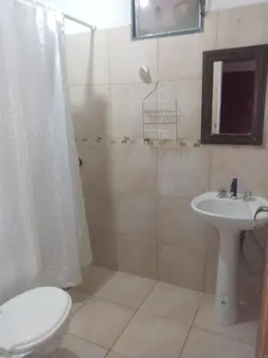 a bathroom with a toilet and a sink at Depto Villa Soto in Mina Clavero