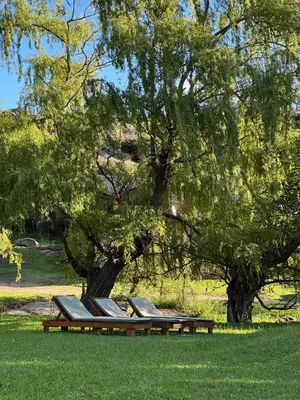a row of benches sitting under a tree at Cabaña El Molle - Los Nogales in Mina Clavero