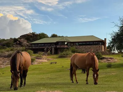 three horses grazing in a field in front of a building at Cabaña El Molle - Los Nogales in Mina Clavero