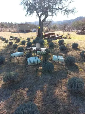 a table and chairs in a field with a tree at R y C Nuestro Lugar in Villa General Belgrano