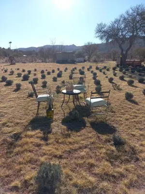 two chairs and a table in a field with bushes at R y C Nuestro Lugar in Villa General Belgrano