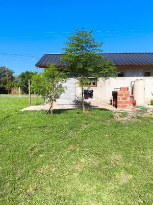 a house with a tree in front of a yard at Las Carolas in Santa María