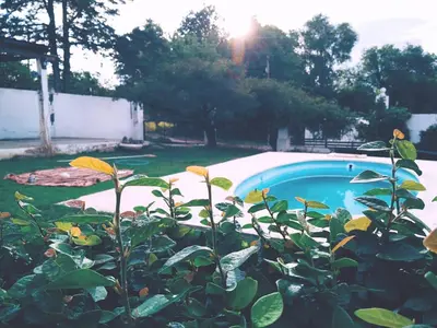 a plant in a yard with a swimming pool at Casa colibrí in Tanti