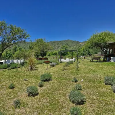 a field with plants in the grass with a playground at die lavendel chalet in Villa General Belgrano