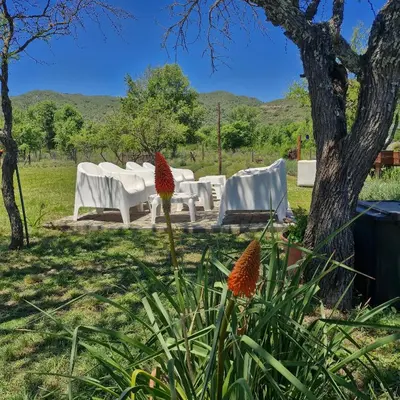 a group of white chairs and a tree and flowers at die lavendel chalet in Villa General Belgrano