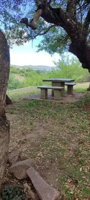 a picnic table in a park under a tree at Casa Villa Carlos Paz in Villa Carlos Paz