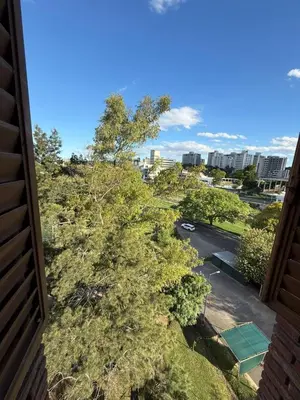 a view of a tree from a balcony at Junior Towers Modern Apartment in Cordoba