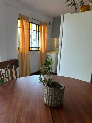 a potted plant sitting on top of a wooden table at Casa Puna in Alta Gracia