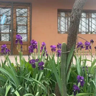 Casa Puna