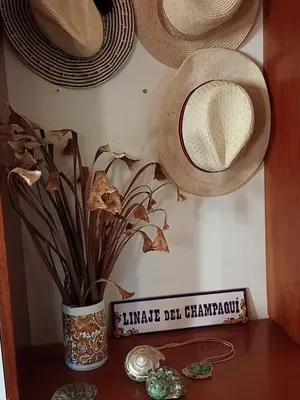a shelf with hats and a vase with a plant at Linaje del Champaqui - San Javier in Villa de Las Rosas