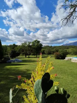 a cactus with a heart on it in a park at Linaje del Champaqui - San Javier in Villa de Las Rosas
