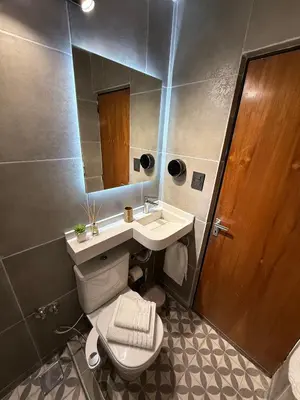 a bathroom with a toilet and a sink and a mirror at Horse Petit Apartments in Cordoba