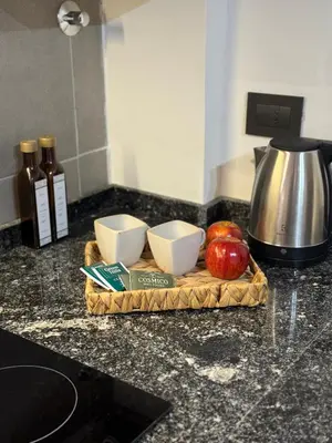 a tray with apples on a counter with a blender at Horse Petit Apartments in Cordoba