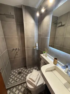 a bathroom with a shower and a toilet and a sink at Horse Petit Apartments in Cordoba