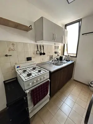 a kitchen with a stove and a sink at Practico y tranquilo Departamento en Alberdi in Cordoba