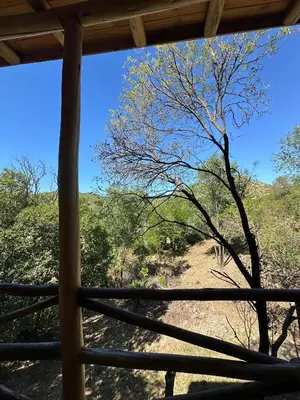 a view of a tree from a porch at La retama in Alta Gracia