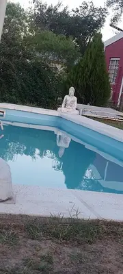 a swimming pool with a statue next to it at Cabañas El Nirvana Villa Quillinzo in Villa Quillinzo