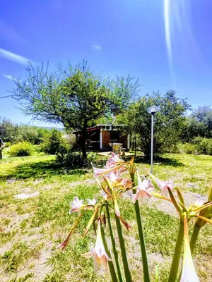 a group of flowers in front of a house at Rincón Soñado in Las Rabonas
