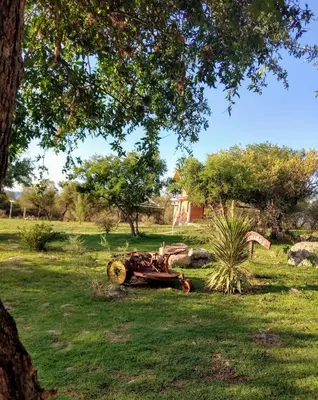 an old car laying in the grass under a tree at Rincón Soñado in Las Rabonas
