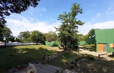 a fake deer in a yard next to a green building at Posada La Rosita - Casa in Santa Rosa de Calamuchita