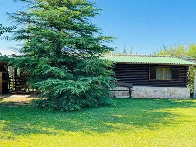 a pine tree in front of a log cabin at Guathemoc cabañas in Panaholma