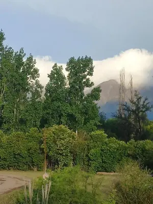 a field with trees and a mountain in the background at Lo de Abu in Villa de Las Rosas