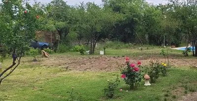 a garden with flowers and a pool in the background at El mamboreta in Pantanillo
