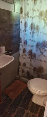 a bathroom with a toilet and a shower curtain at El mamboreta in Pantanillo