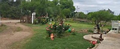 a group of dogs walking around a garden with flowers at El mamboreta in Pantanillo