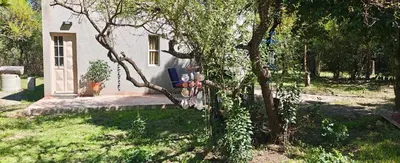 a small white house with a tree in the yard at El mamboreta in Pantanillo