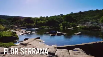 a river with some rocks in the water at Alto de Balcón in Tanti