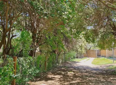 a tree canopy over a dirt road with a fence at La Armonía Departamentos in Merlo