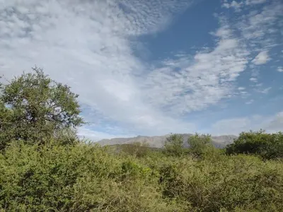 a blue sky with clouds and trees in a field at Cabañas Las Luciérnagas in San Javier