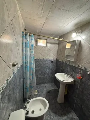 a bathroom with a sink and a toilet and a shower at Departamento Vilma Planta Baja Brochero in Villa Cura Brochero
