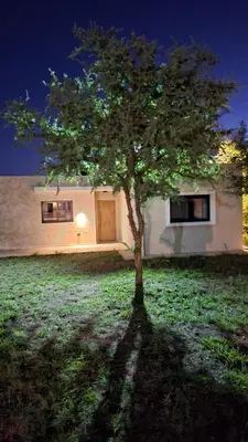 a tree in a field in front of a building at Hermosa Casa Moderna en el Mirador del Lago in Bialet Massé