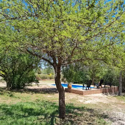 a tree in a yard with two chairs and a pool at Complejo Ayllu in Las Rabonas