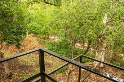 a view of a forest from a wooden railing at Alma Petra - Cabañas en Cabalango, Tanti, Punilla in Estancia Vieja