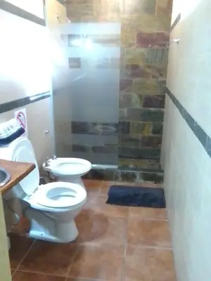 a bathroom with a white toilet and a shower at Cabañas Ojo de Agua in Trapiche