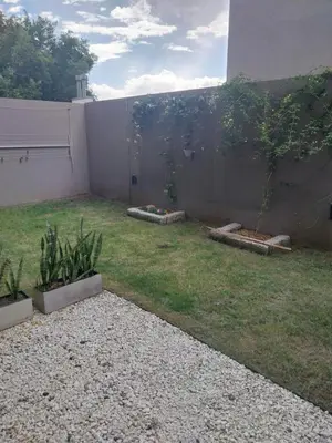 a backyard with two potted plants and a wall at Las Pircas PB in Alta Gracia