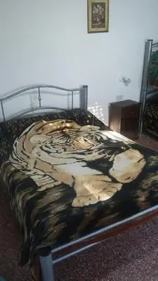 a bed with a tiger print blanket on it at Sierras y sol in Villa Cura Brochero